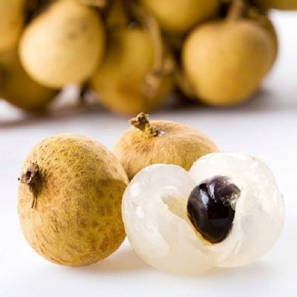 NHÃN XUỒNG CƠM VÀNG